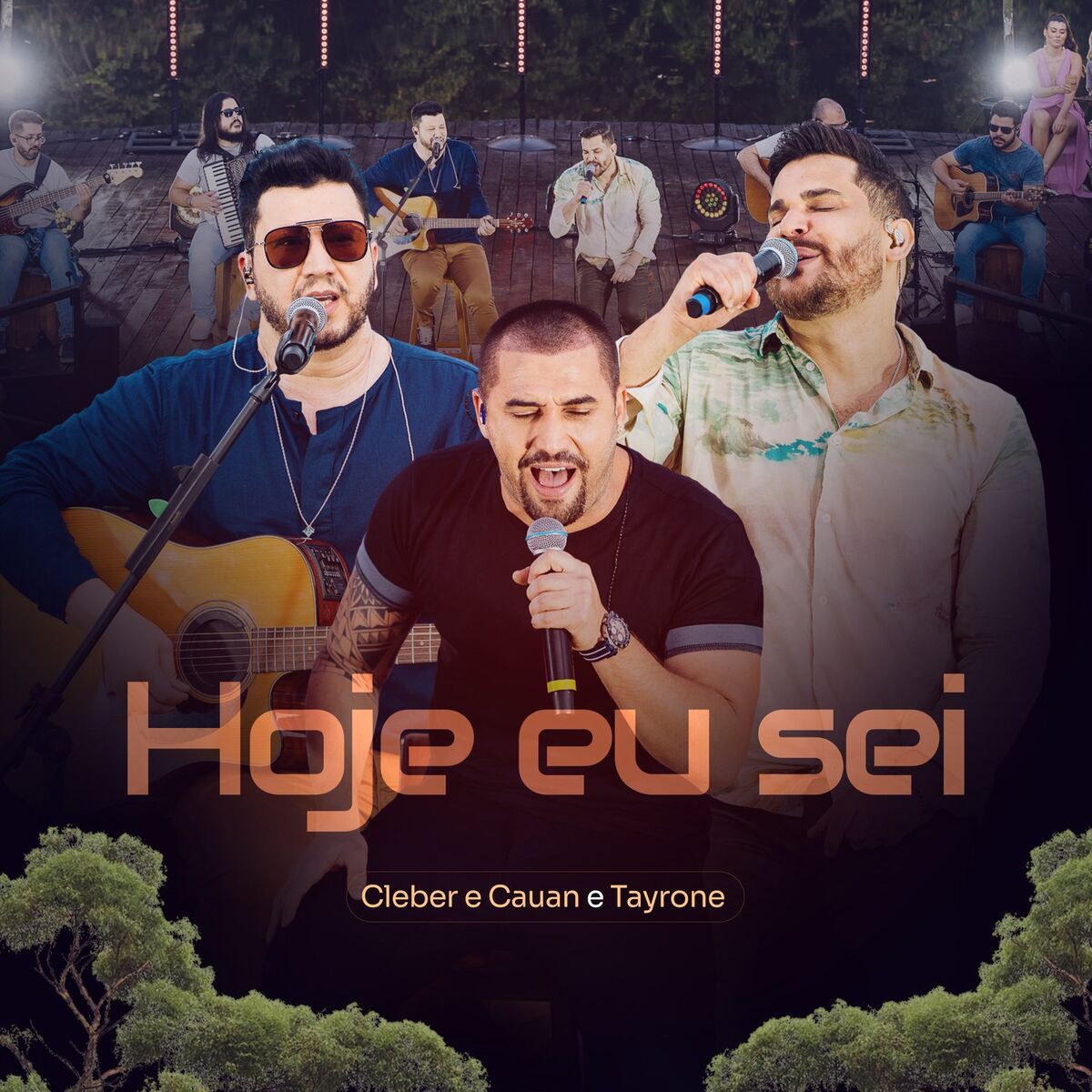 Album cover of Hoje Eu Sei