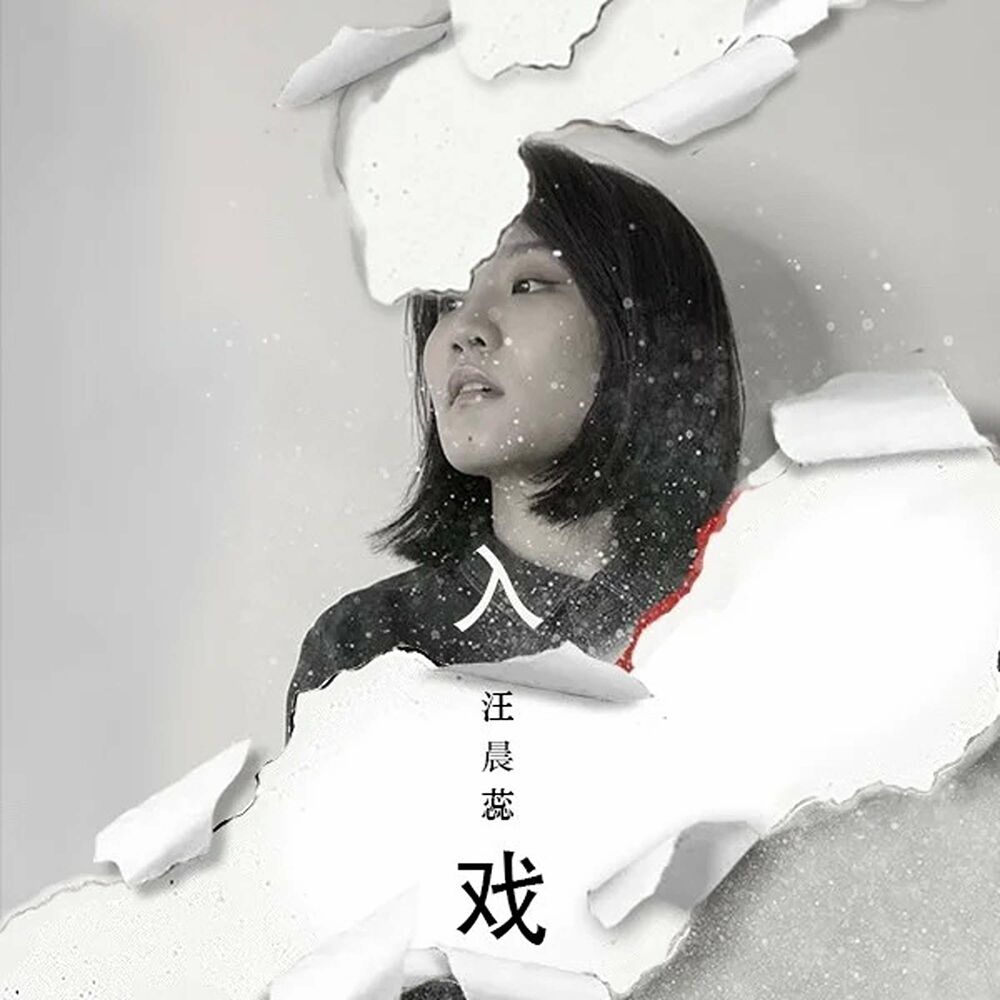 Picture of 入戏