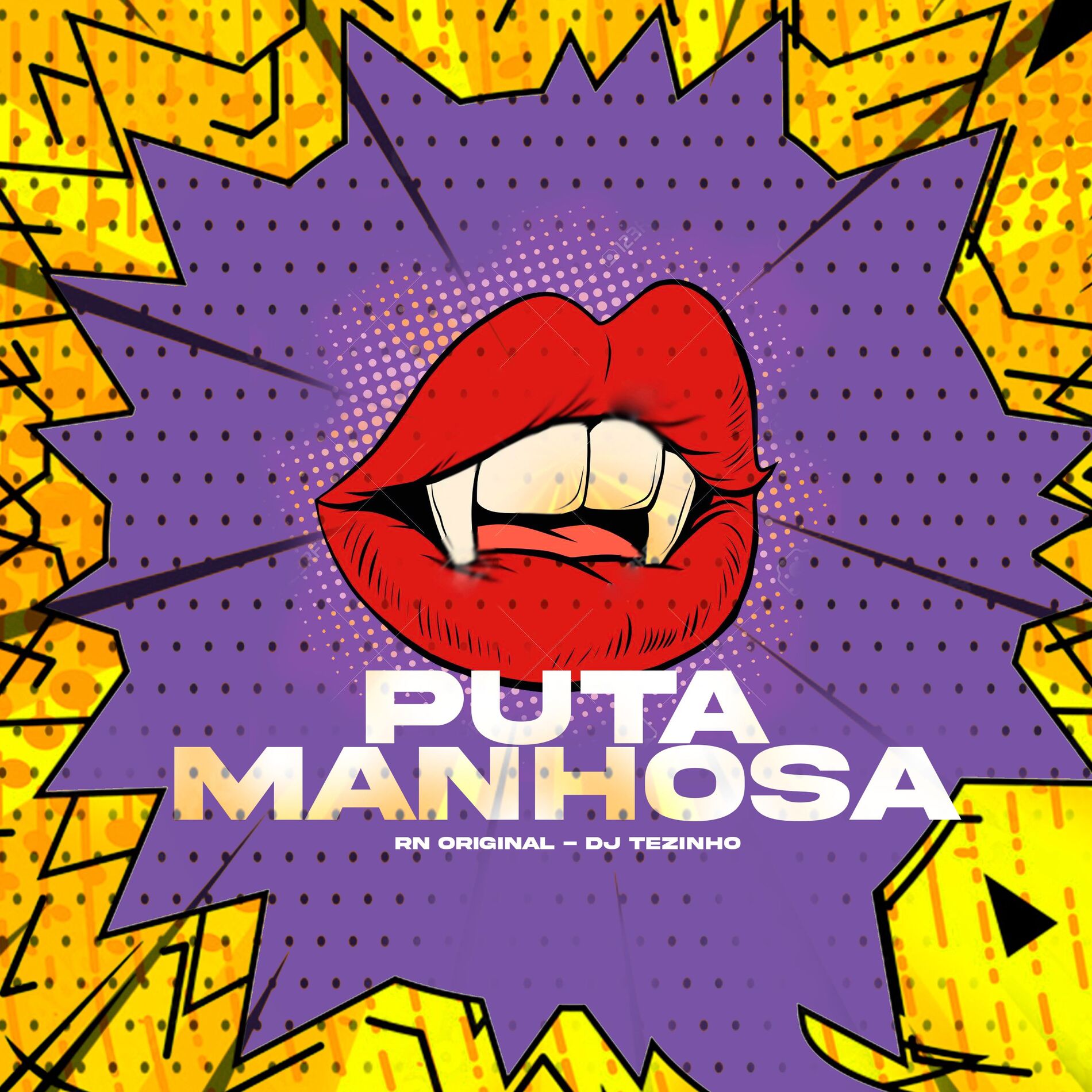 Album cover of Puta Manhosa