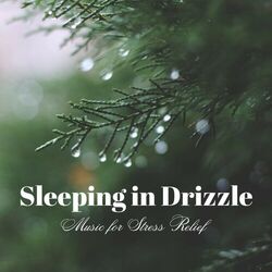 Cover of Sleeping in Drizzle: Music for Stress Relief