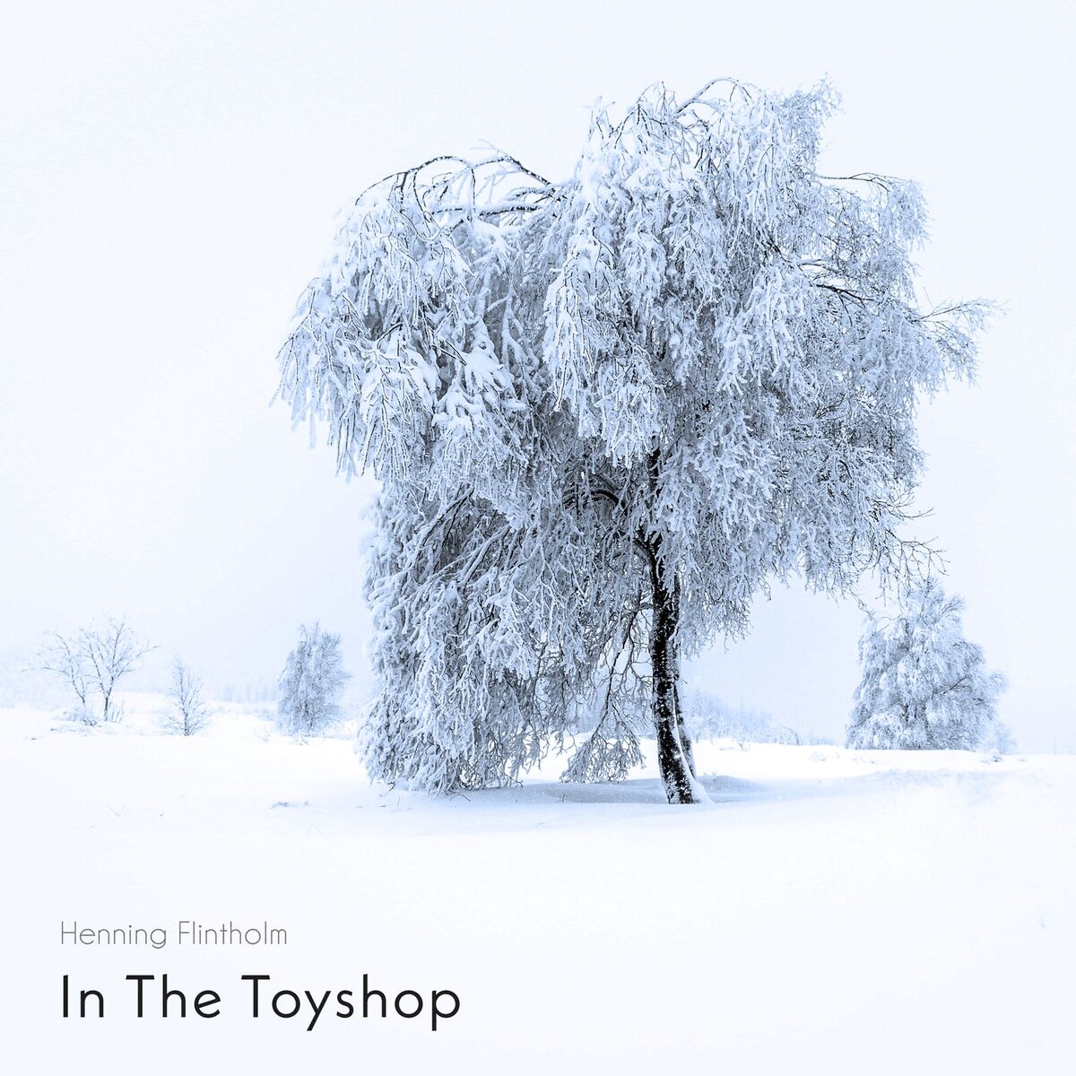 Album cover of In The Toyshop