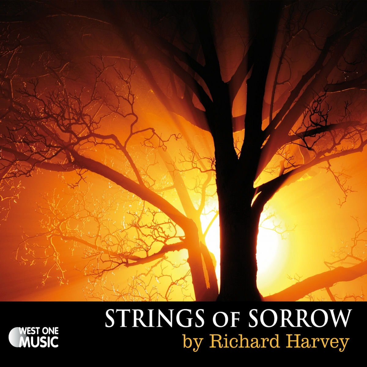 Album cover of Strings Of Sorrow