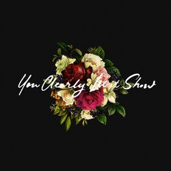 Cover of You Clearly Let It Show