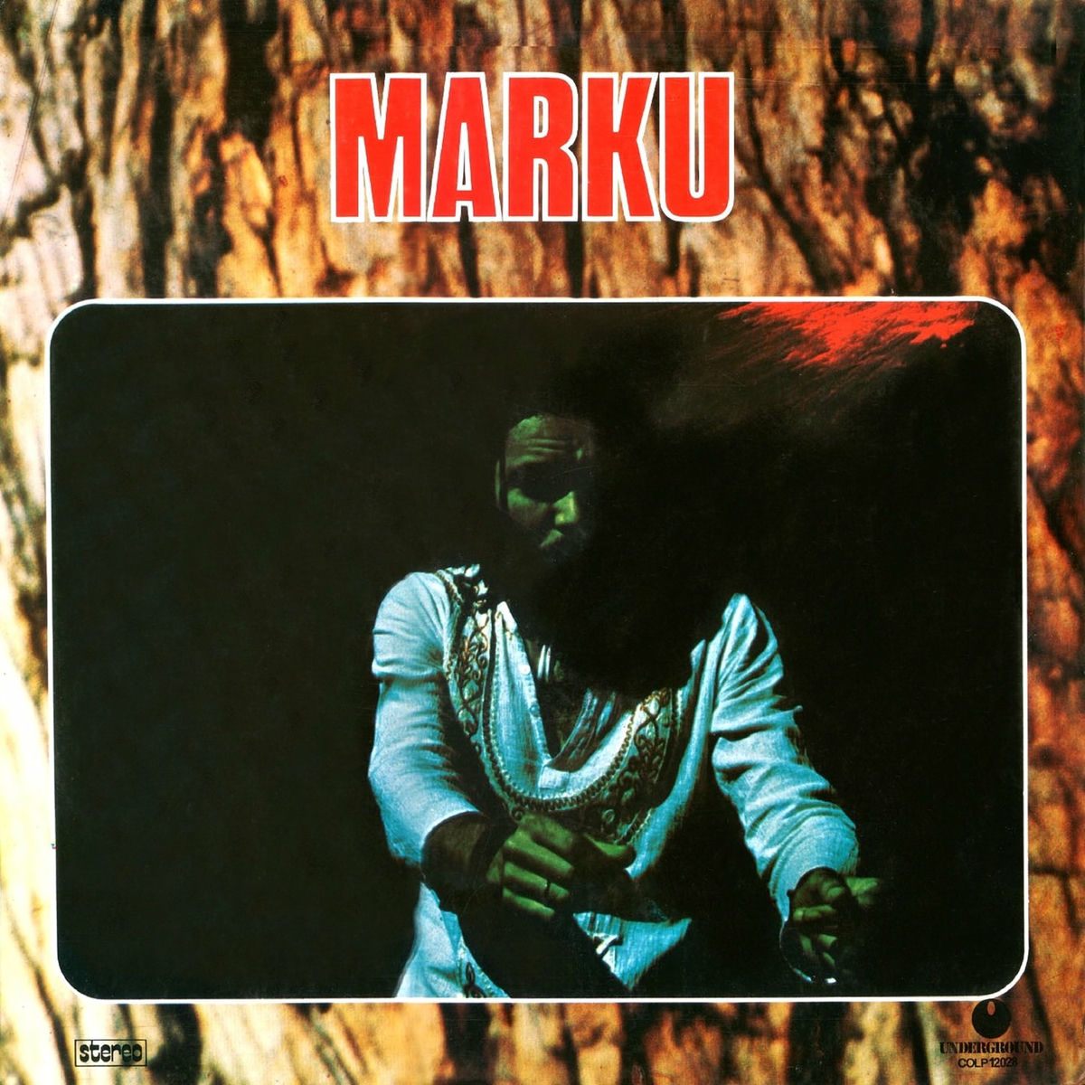Album cover of Meu samba regué