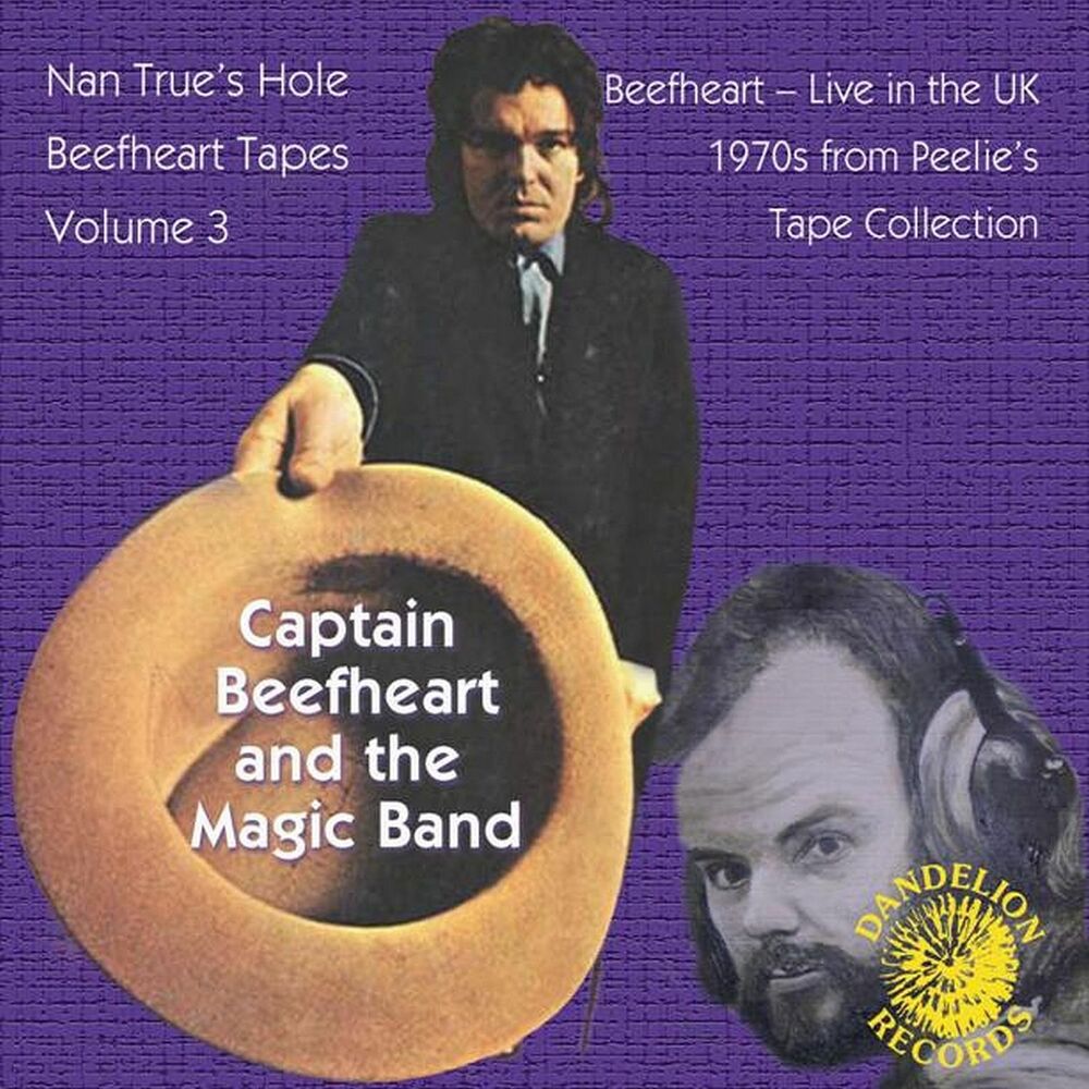 Picture of The Nan True's Hole Tapes Volume 3 (Live)