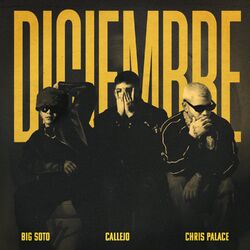 Cover of DICIEMBRE