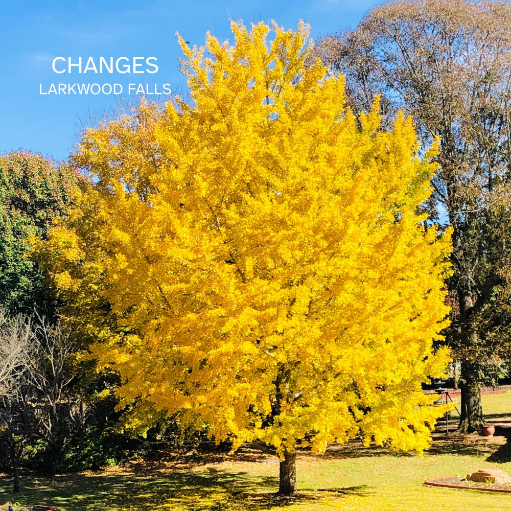 Changes (from the Chamber Sessions)
