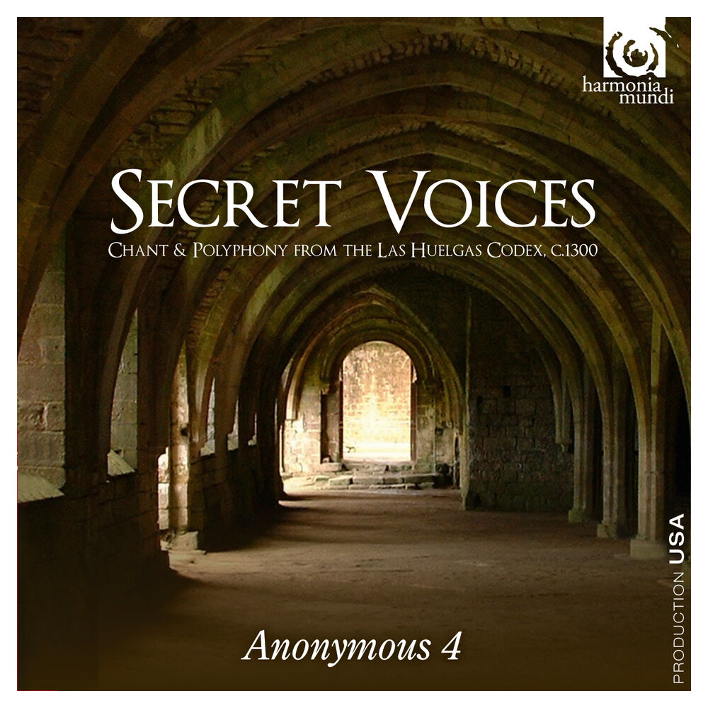 Picture of Secret Voices