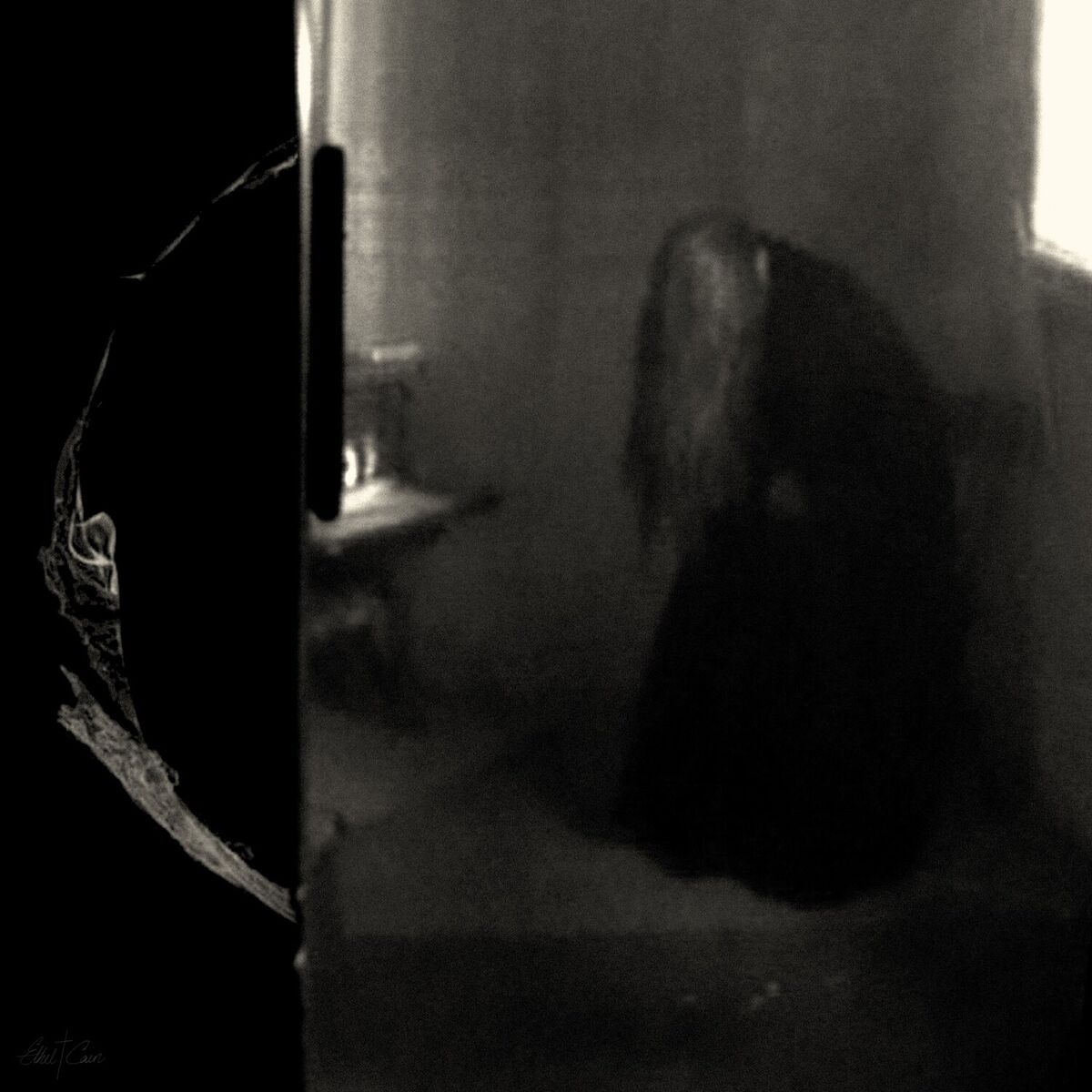 Album cover of Amber Waves