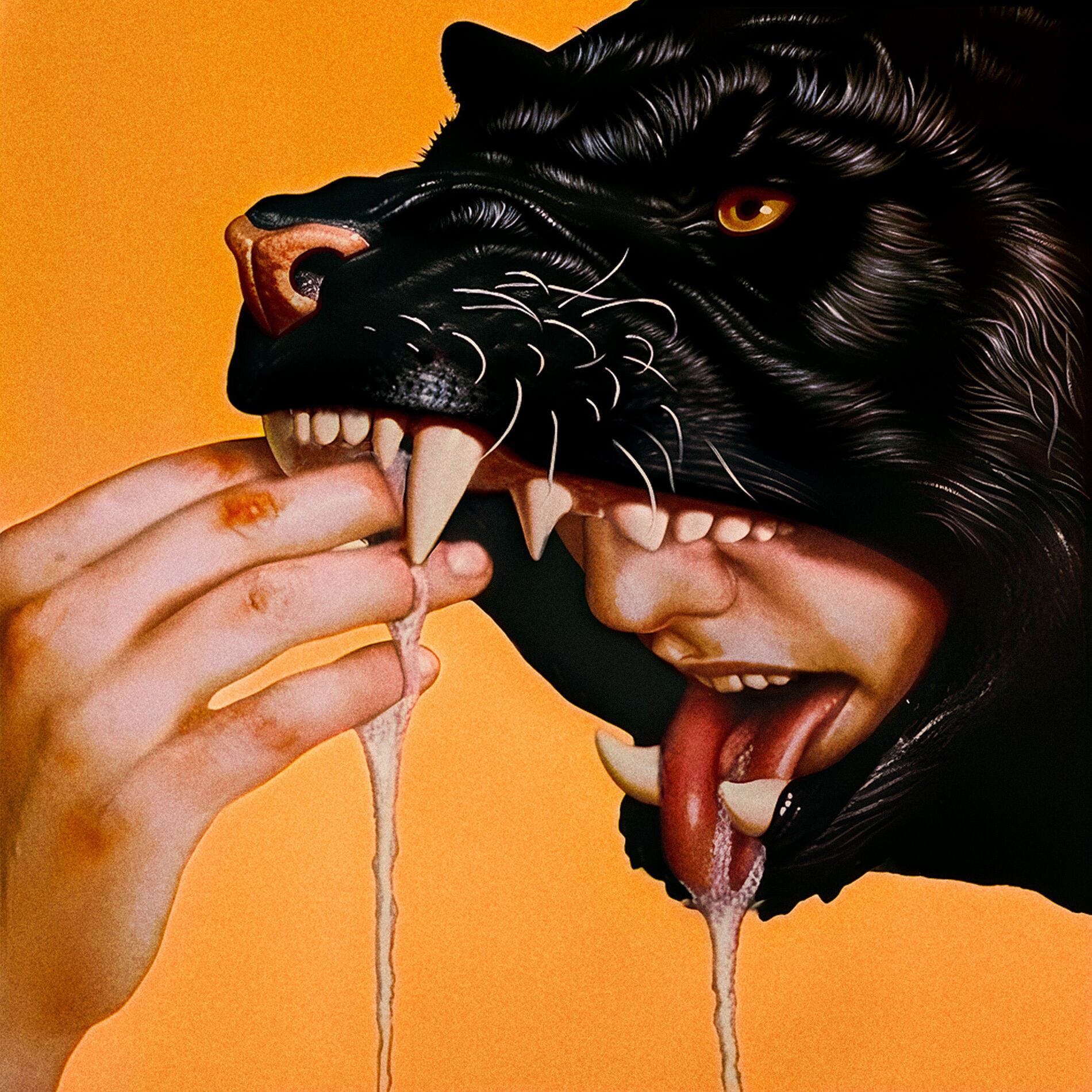 Album cover of SURVIVAL