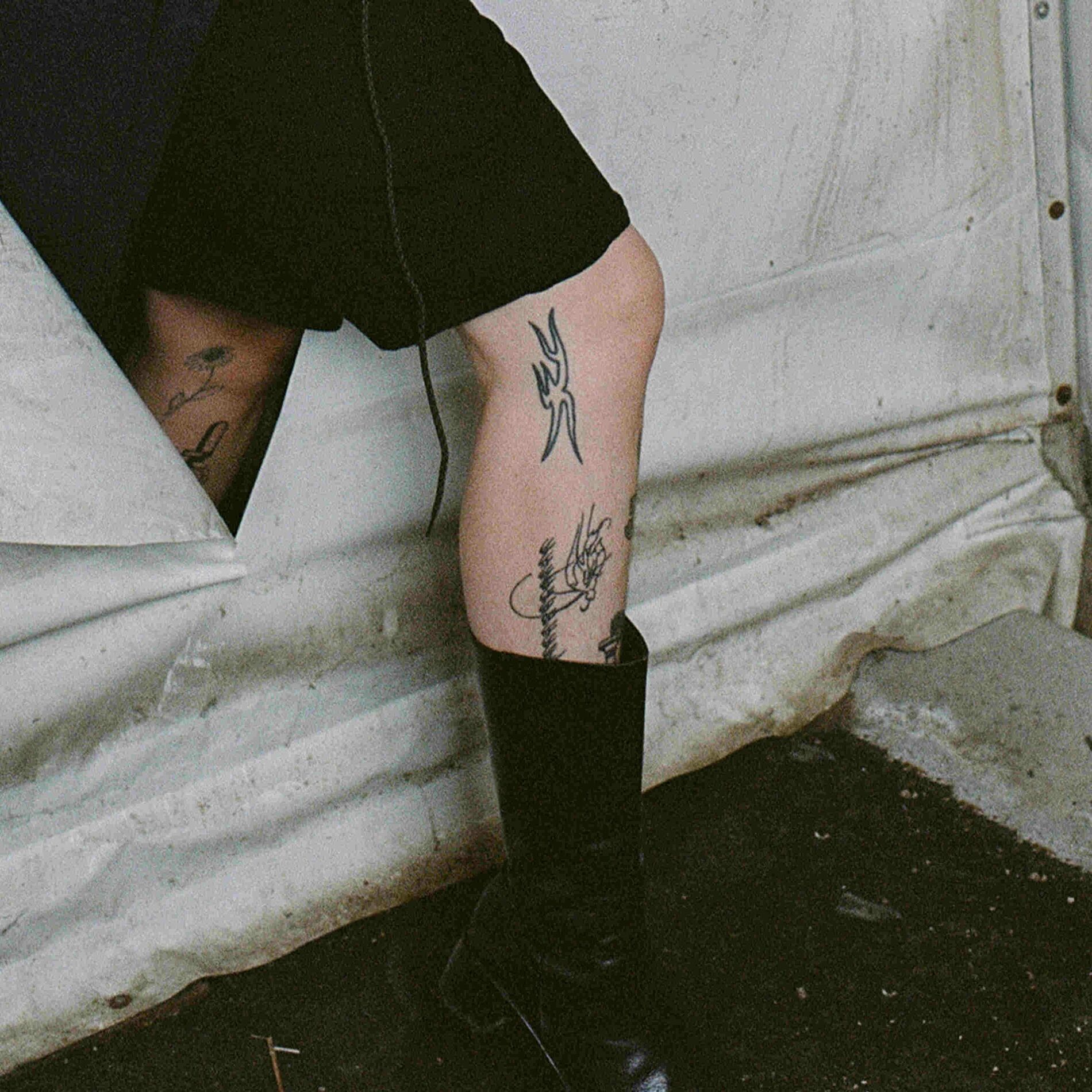 Album cover of abused