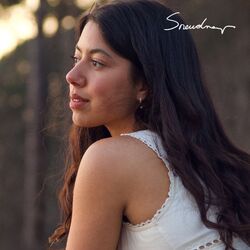 music cover