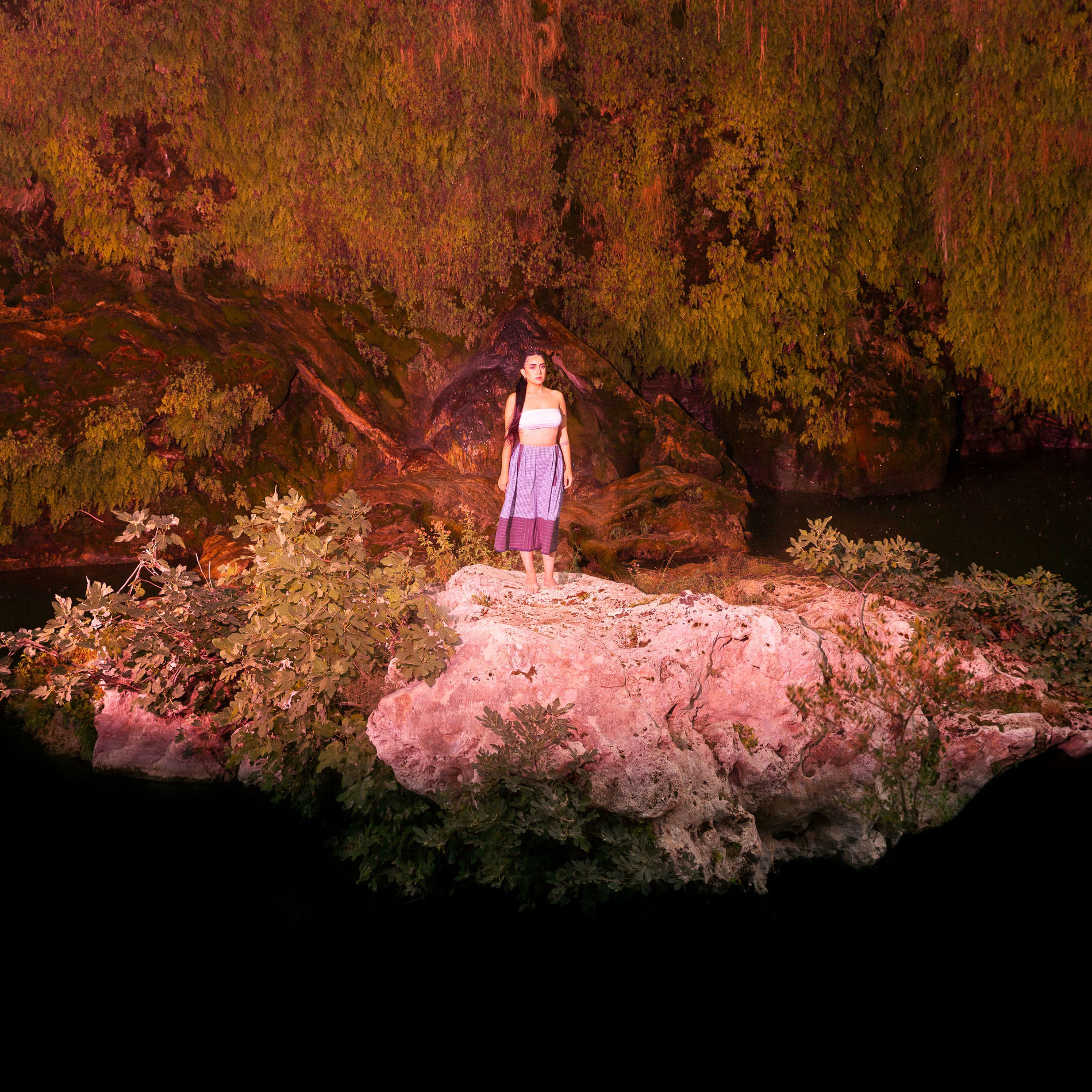 Album cover of nou