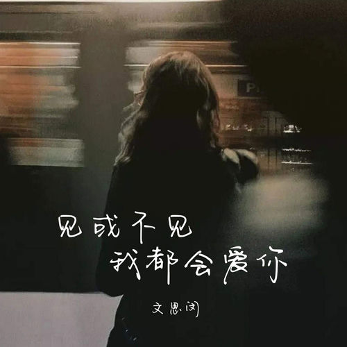 见或不见我都会爱你