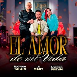 Cover of El Amor De Mi Vida