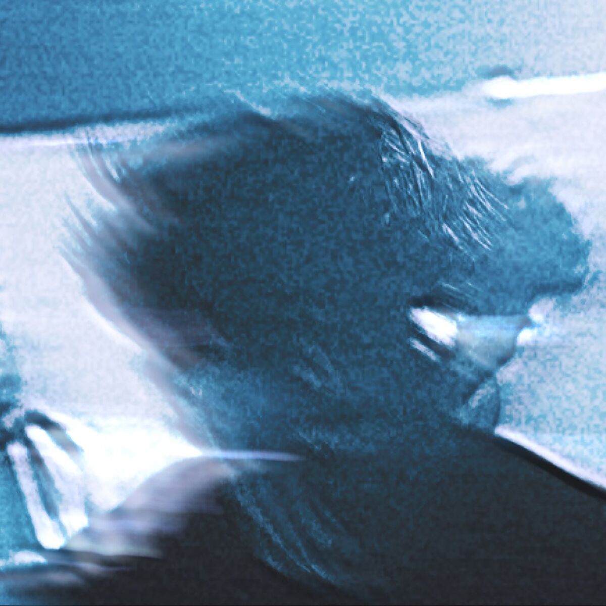 Album cover of FOCUS (Rompasso Remix)
