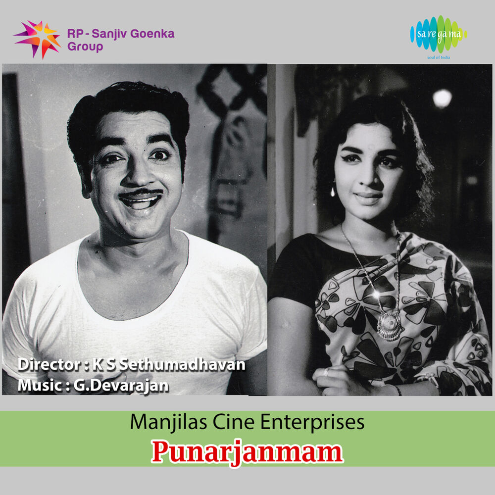 Picture of Punarjanmam (Original Motion Picture Soundtrack)