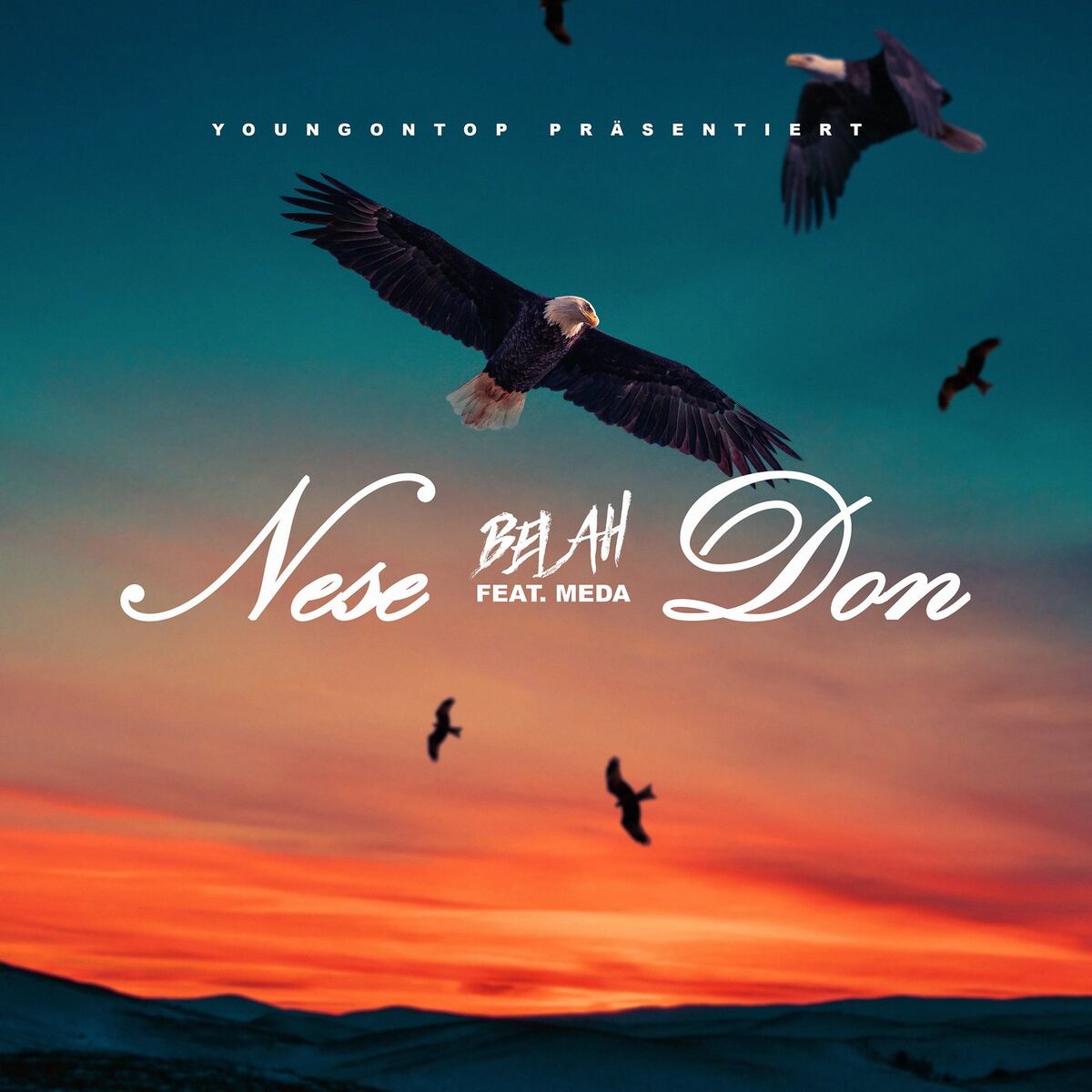 Album cover of Nese Don