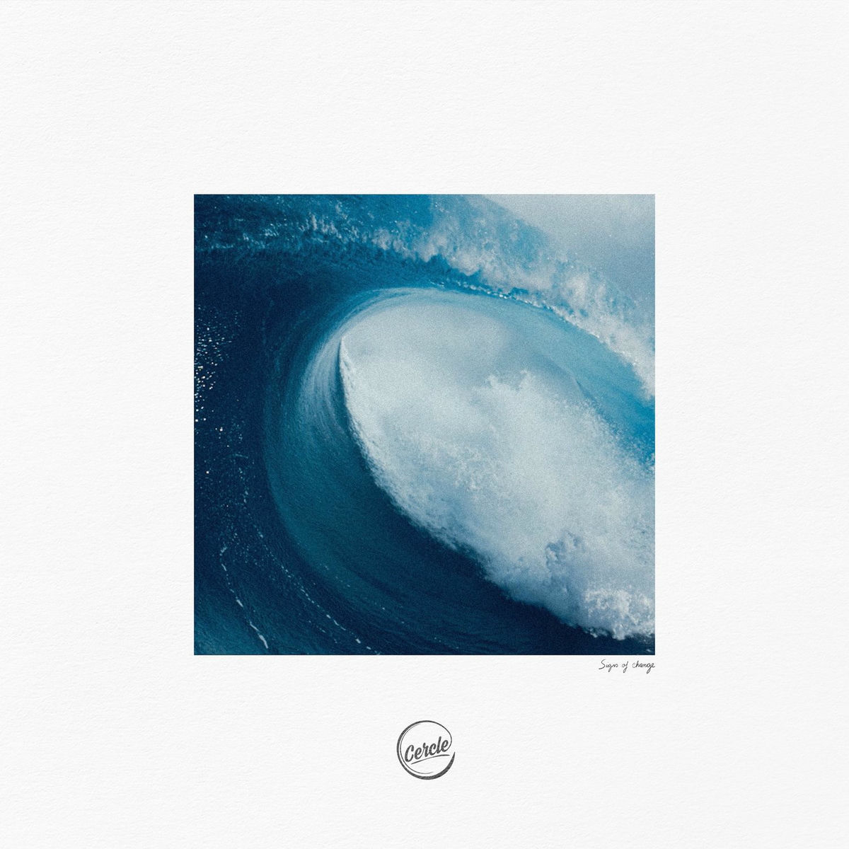 Album cover of Signs Of Change