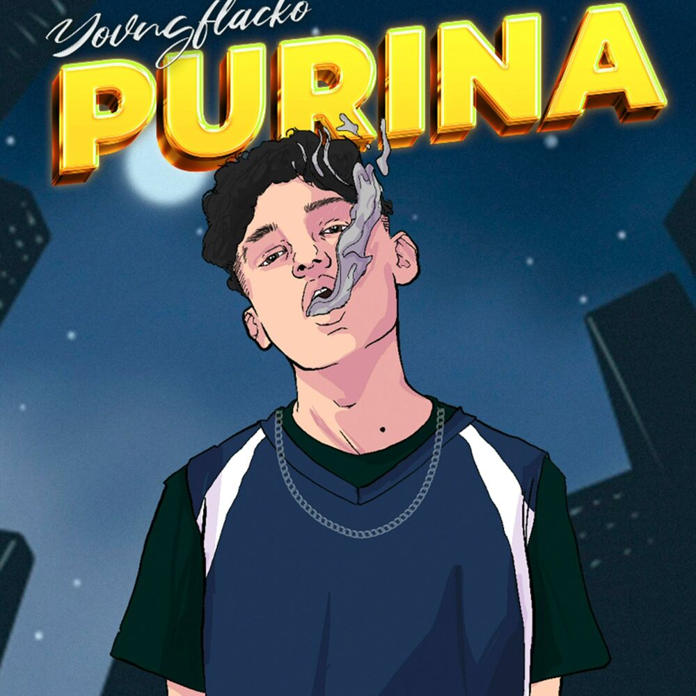 Picture of PURINA