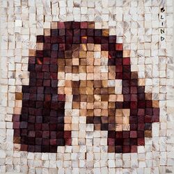 Cover of Blind