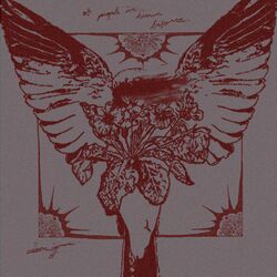Cover of of people ive known before