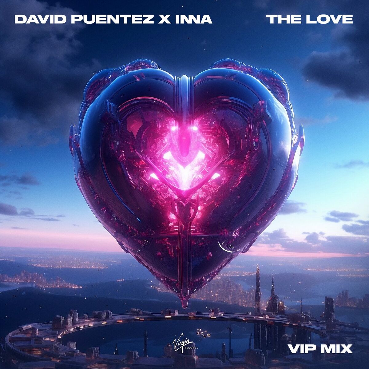 Album cover of The Love (VIP Mix)