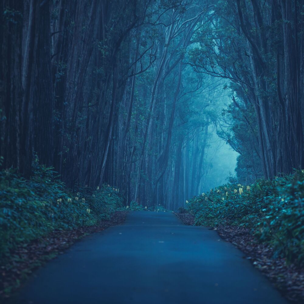 Picture of Enchanted Binaural: An Immersive Soundscape for Zen