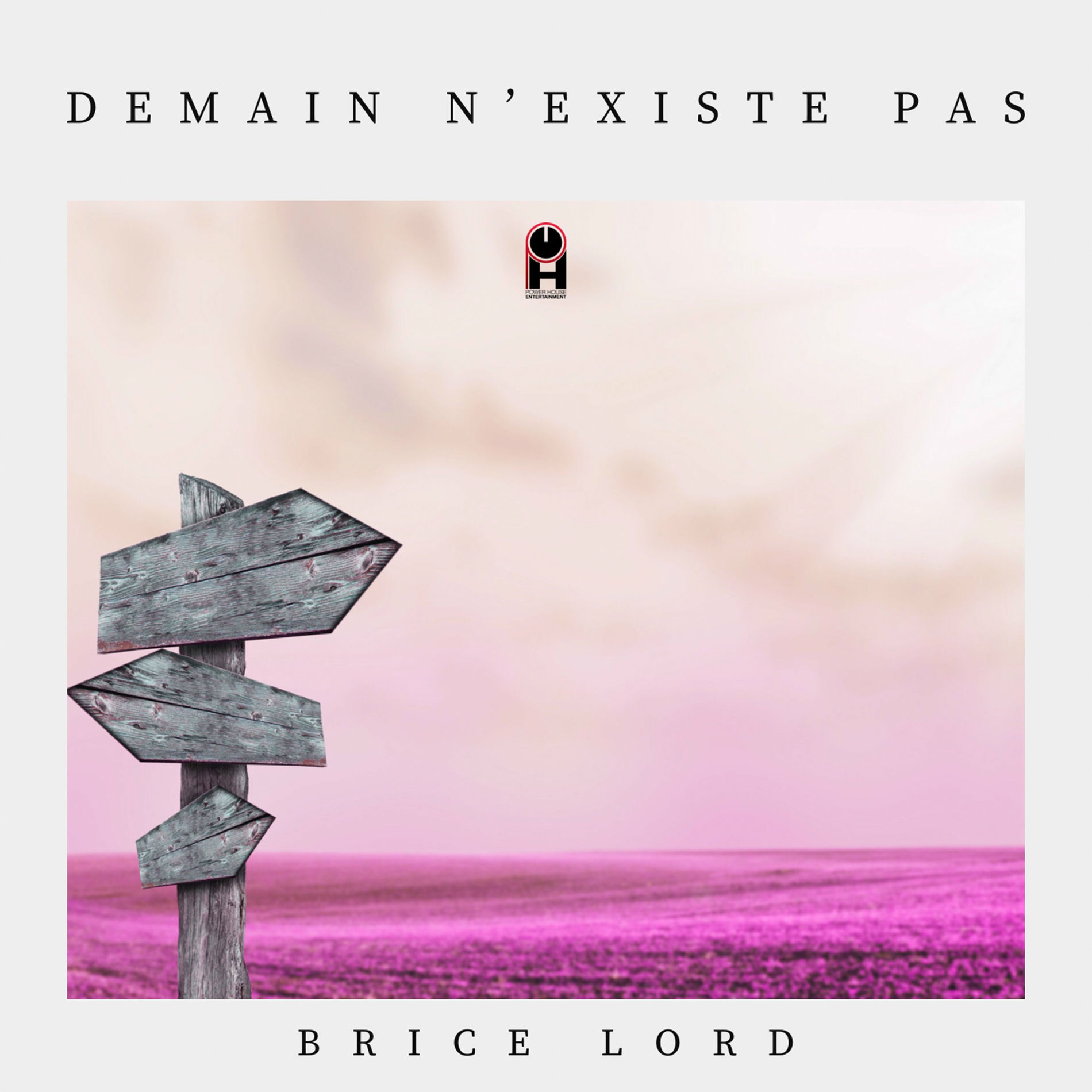 Album cover of Demain n'existe pas (DNP)