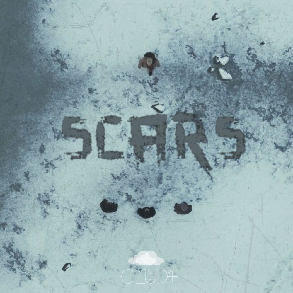 Picture of Scars