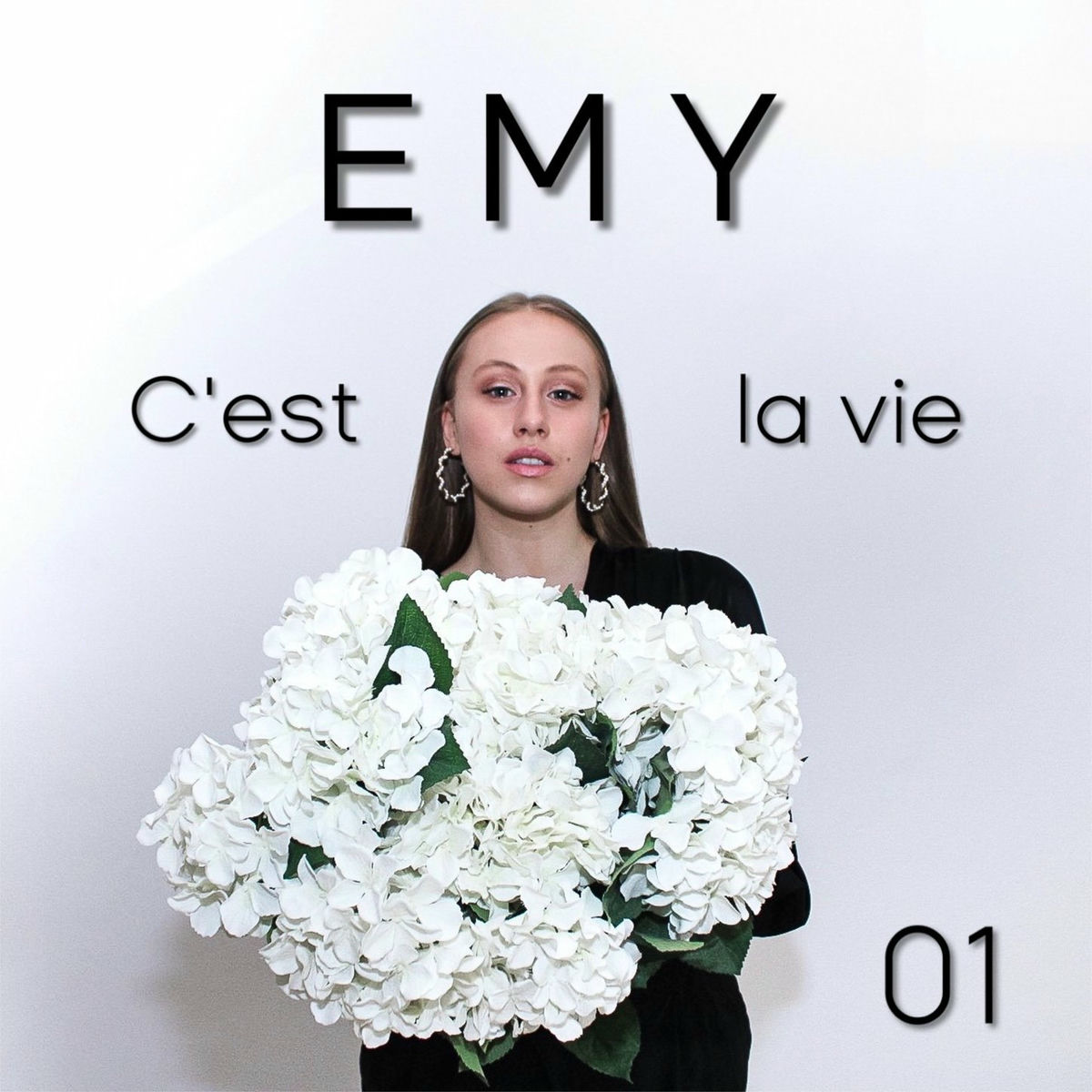 Album cover of C'est la vie