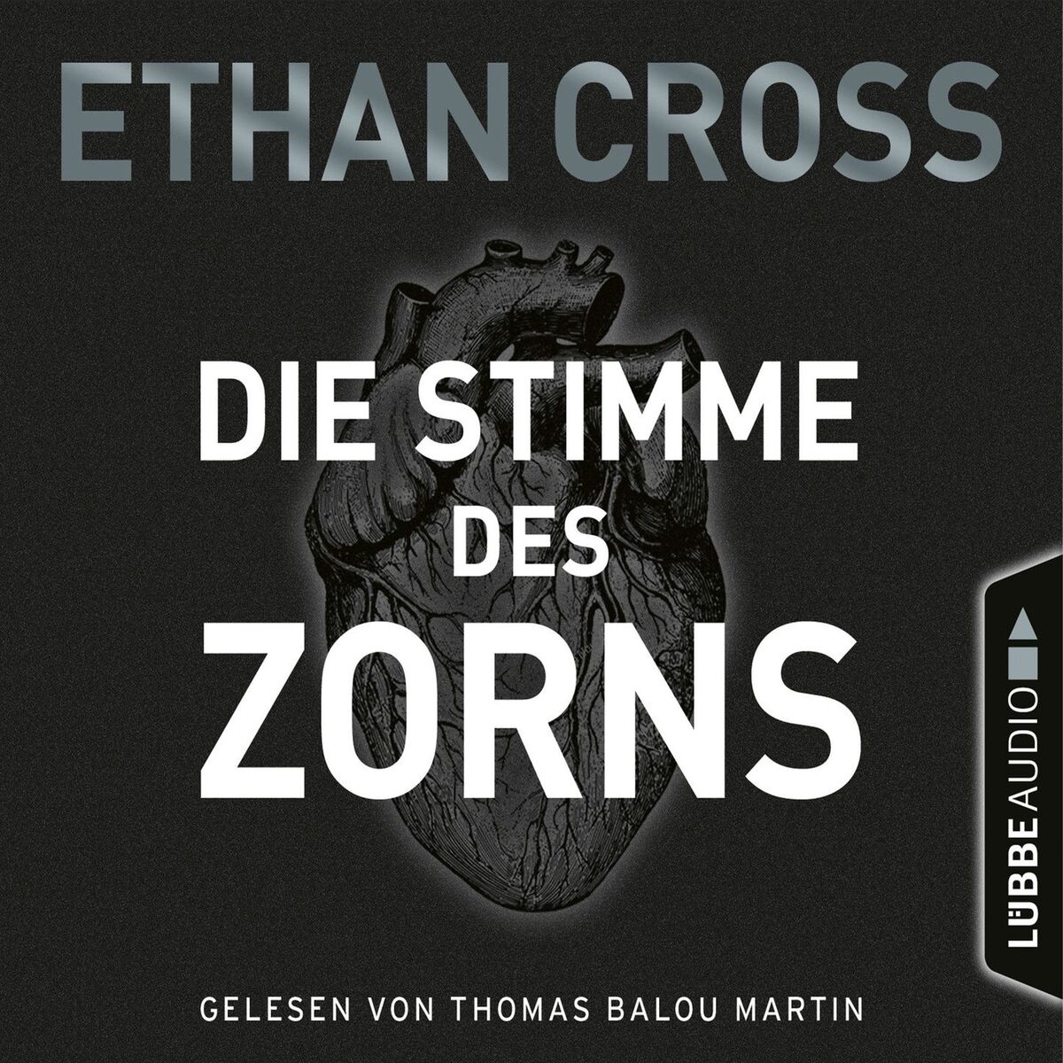 Album cover of Die Stimme des Zorns - Die Ackermann & Shirazi-Reihe 1 (Gekürzt)