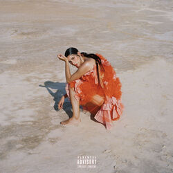 Cover of Bloom