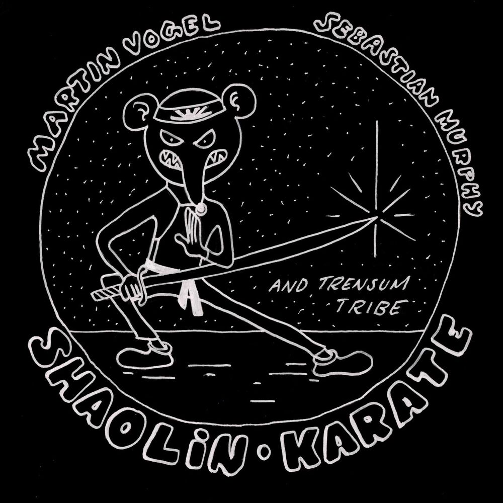 Picture of Shaolin Karate