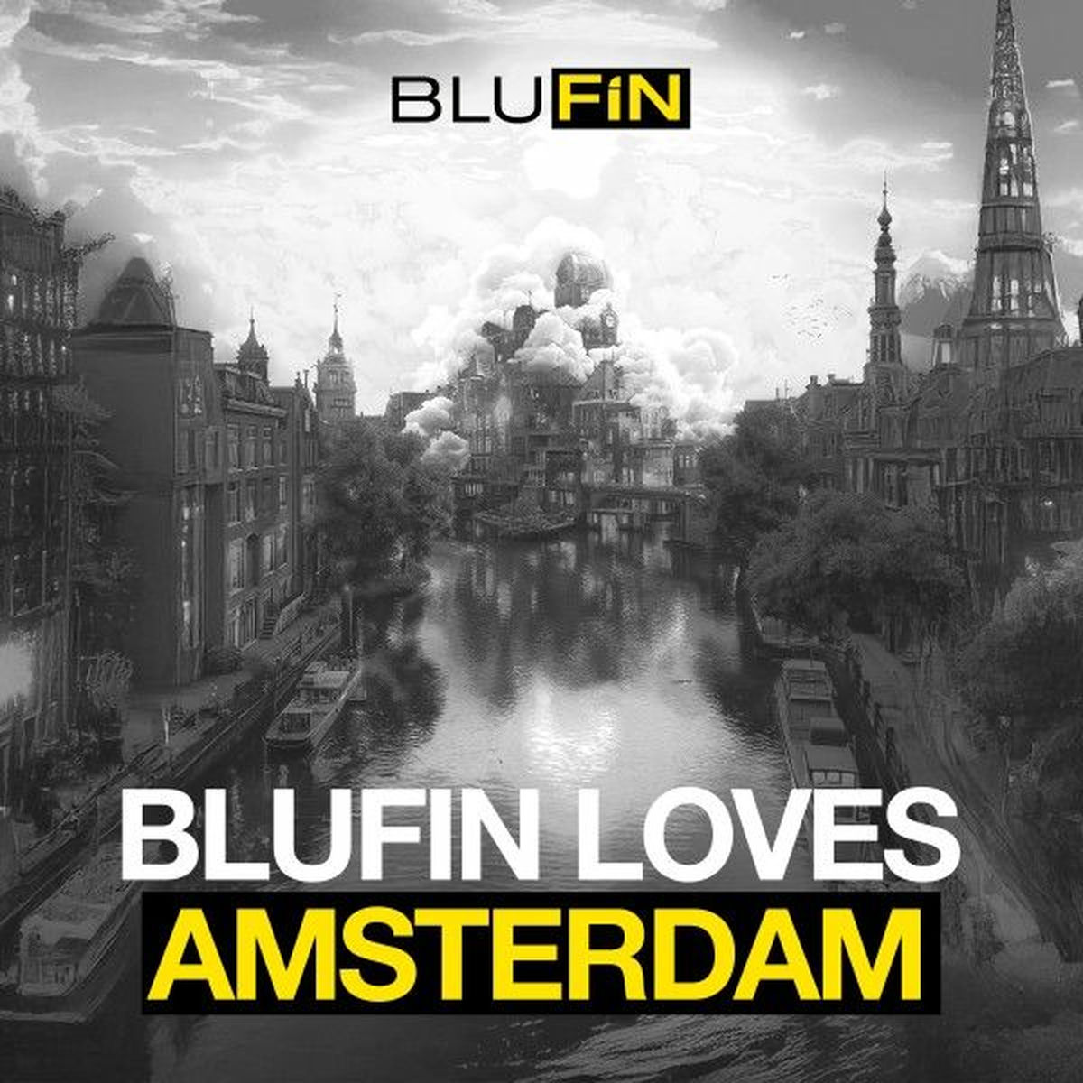Album cover of Blufin Loves Amsterdam (Vol. 13)