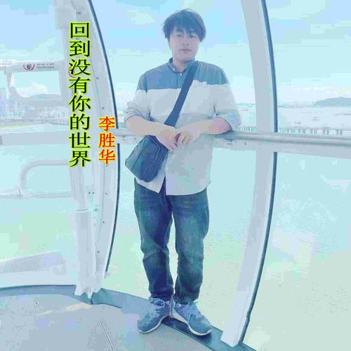 回到没有你的世界