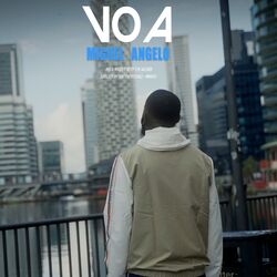 Cover of Voa