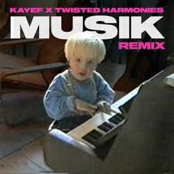 Cover of MUSIK (REMIX)