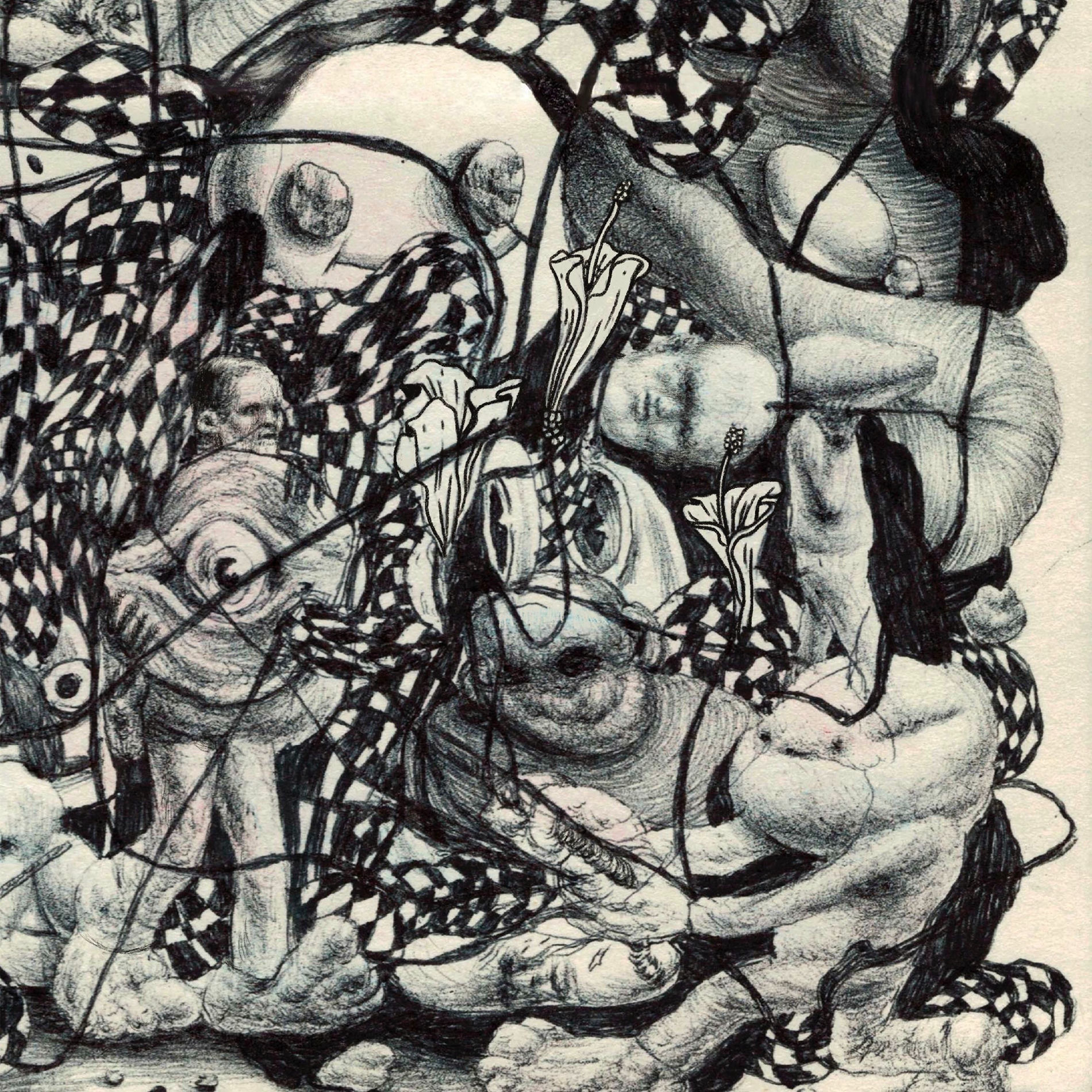 Album cover of Stupid Song