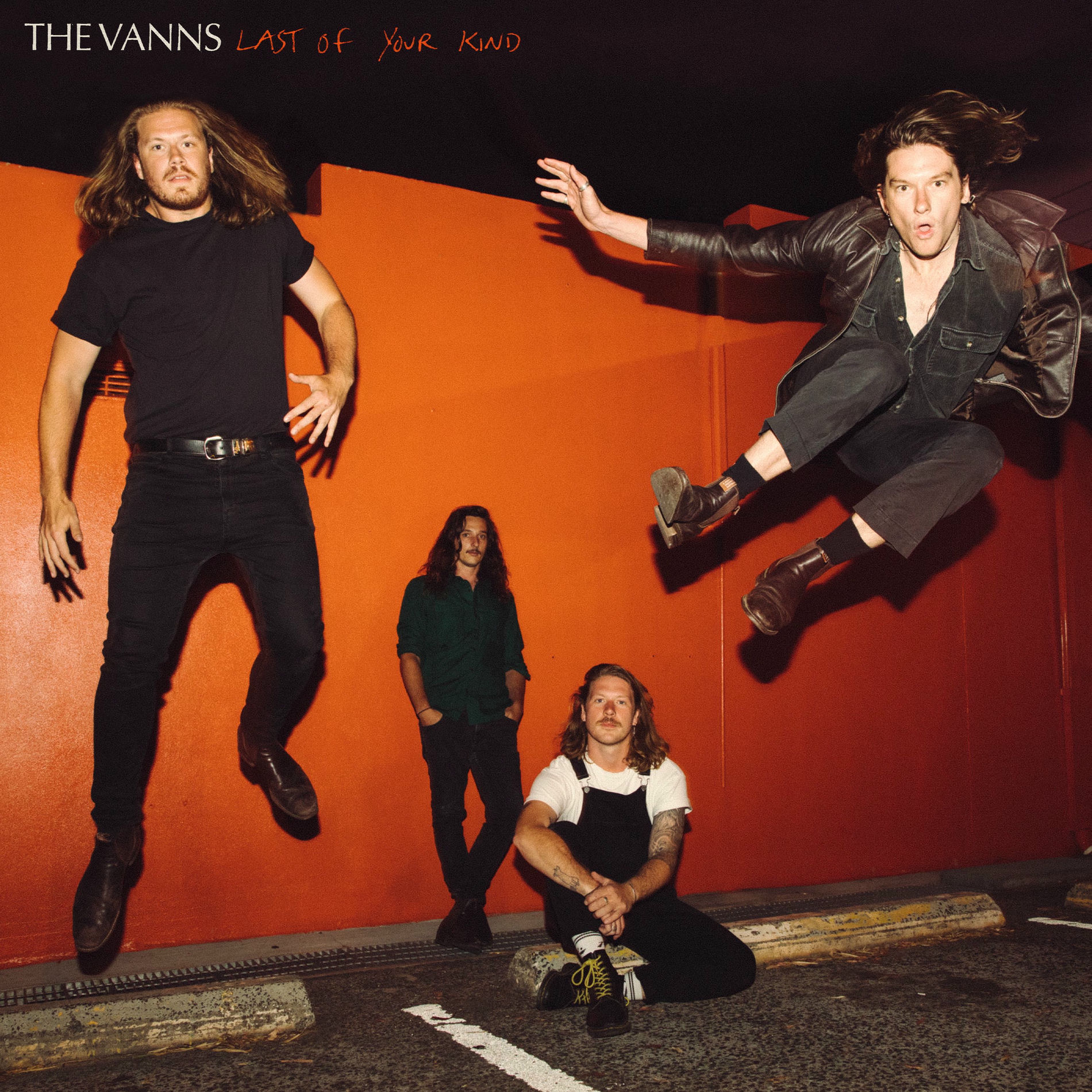 Album cover of Last Of Your Kind
