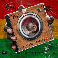 Cover of Picture Perfect