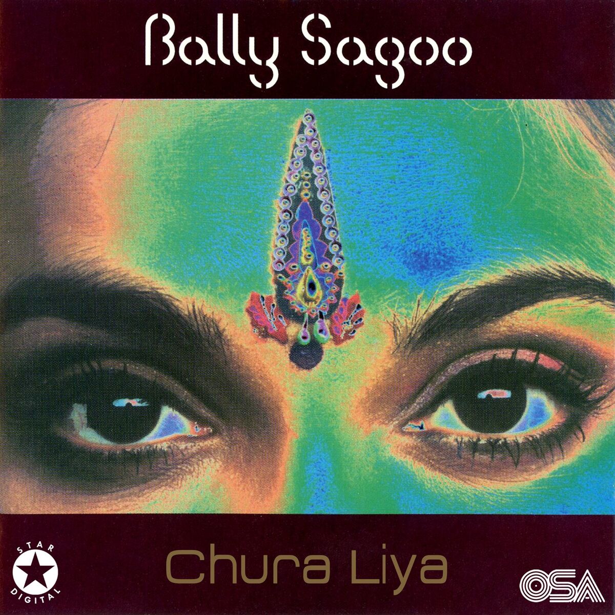 Album cover of Chura Liya