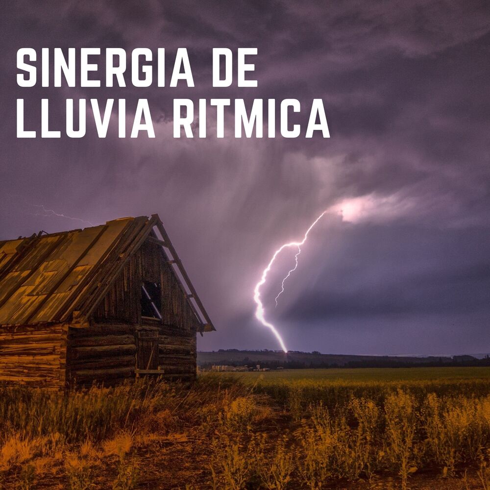 Picture of Sinergia De Lluvia Rítmica