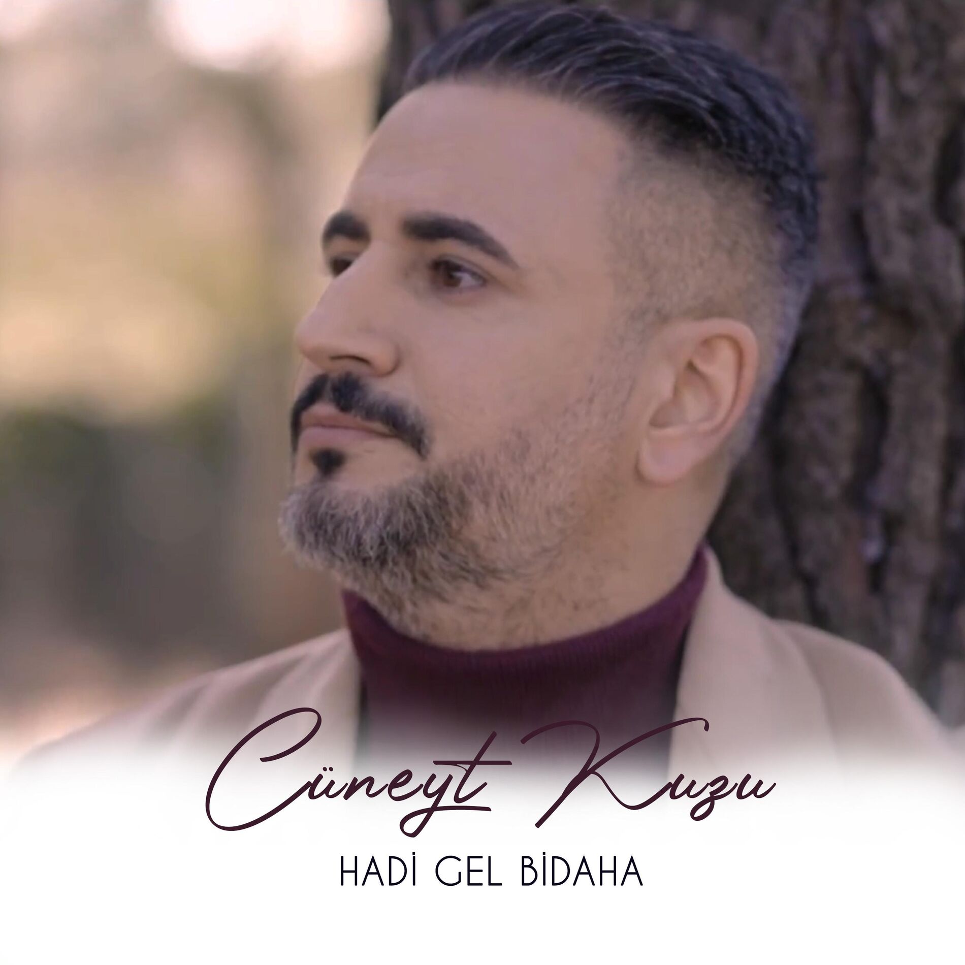Album cover of Hadi Gel Bi Daha