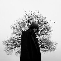 Cover of Extraordinary Wings