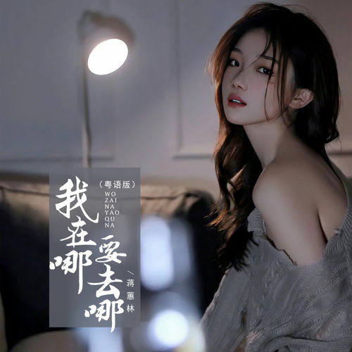 我在哪要去哪 (DJ京仔粤语版)