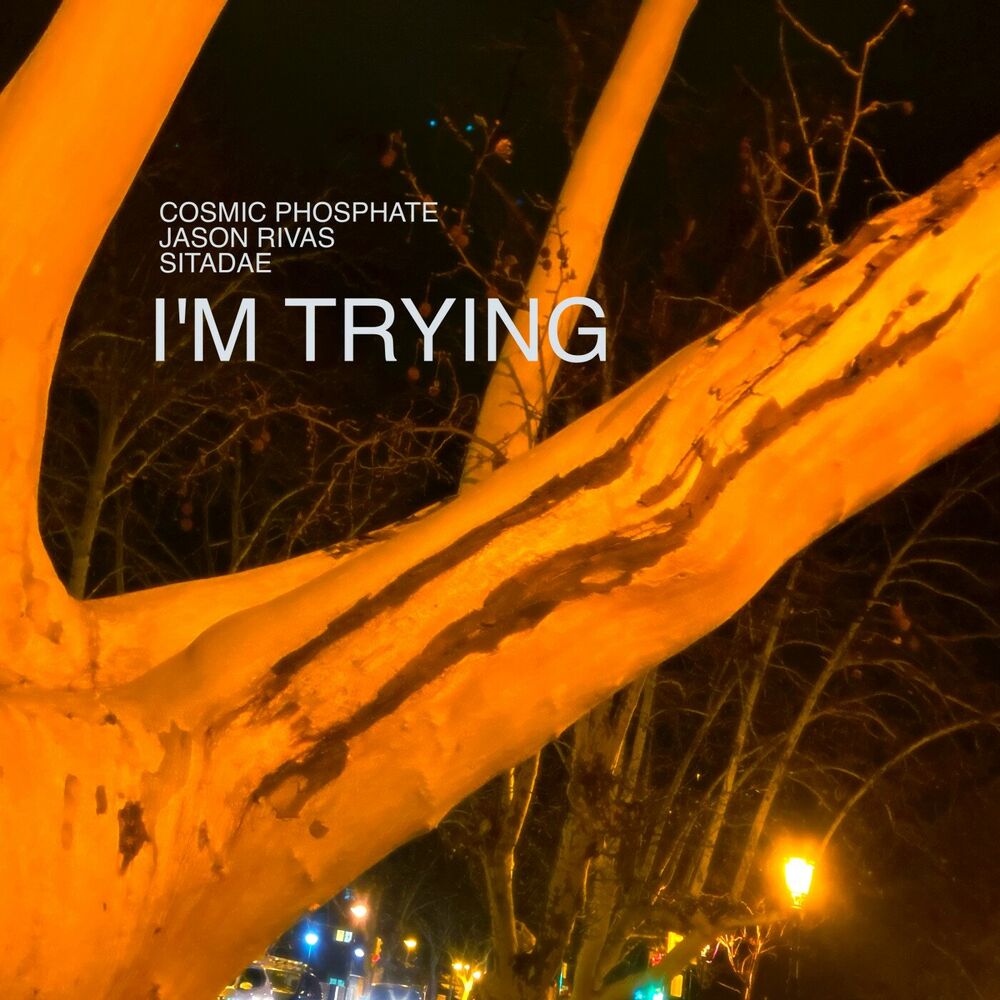 Picture of I'm Trying