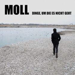 Cover of Dinge, um die es nicht geht