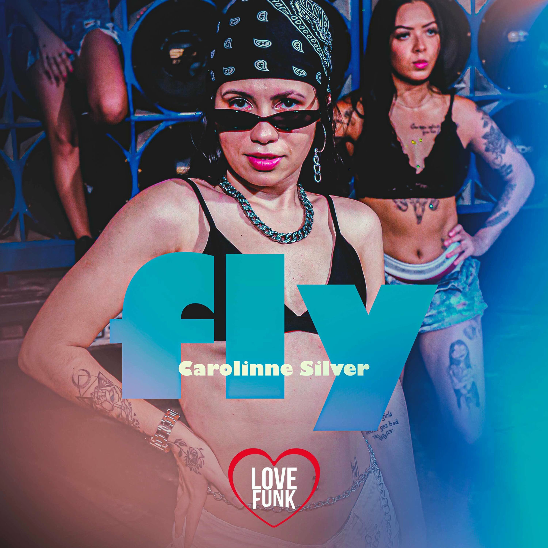 Album cover of Fly