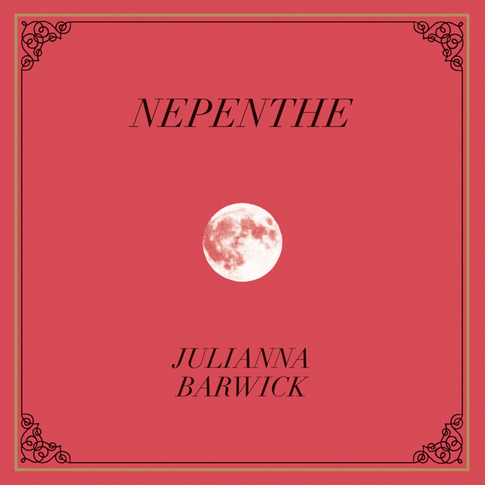 Picture of Nepenthe
